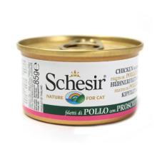 寵物食品銷售 趨勢、機遇與品牌制勝之道